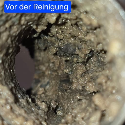 Rohrreinigung Berlin Notdienst BelimRohr24 — Kundenfoto